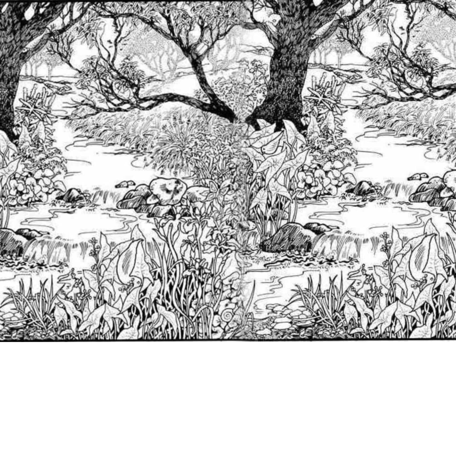 Forest Sketch Images  Free Download on Freepik