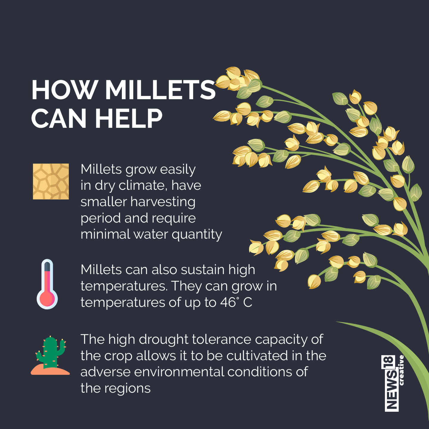 As India Pushes For Millet Production, a Look At Why the Crop is Good
