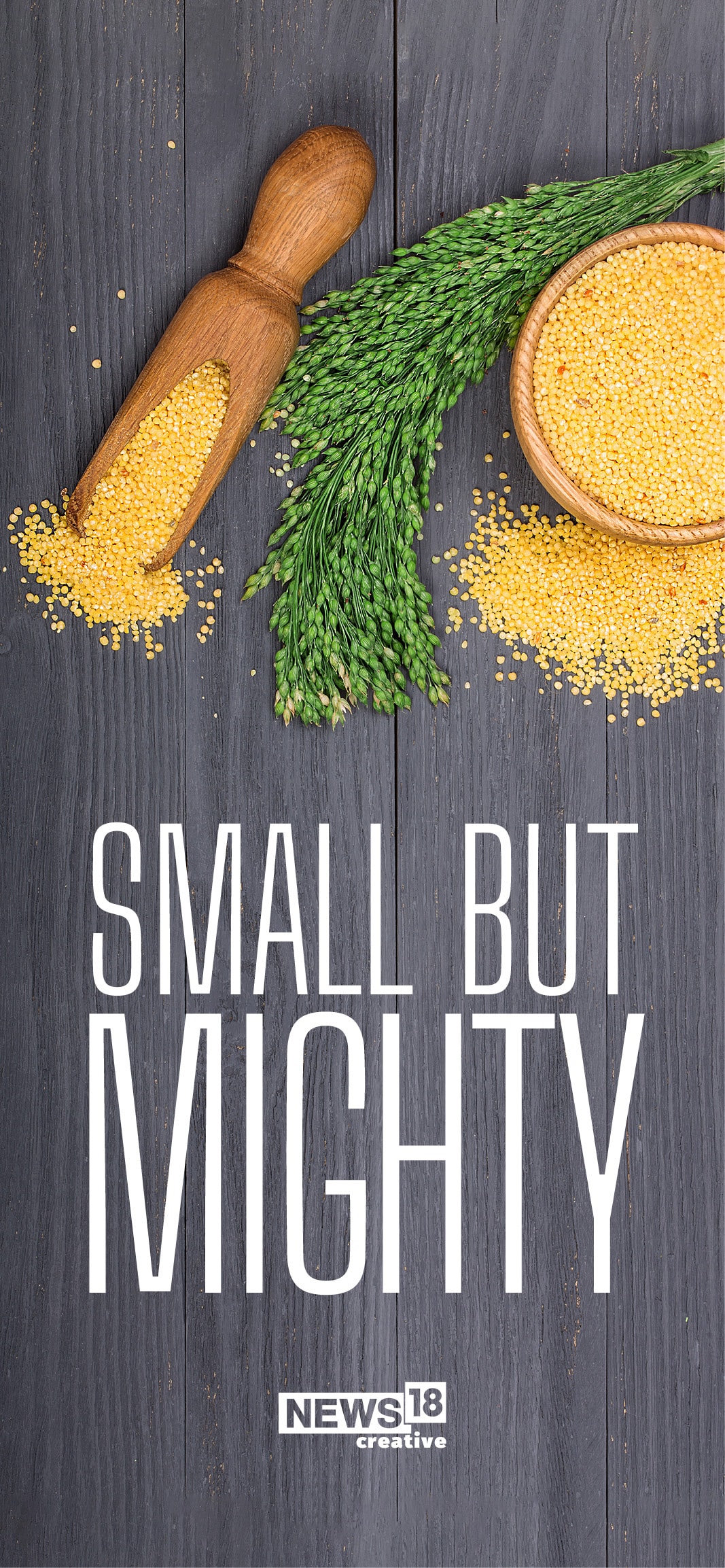 After PM Modi Calls for Millet Farming to Enhance Global Food Security, Here's a Look at its