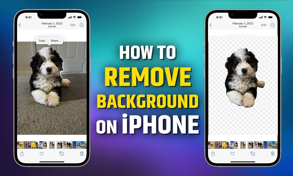 Remove Background From Any Image With A Single Click Using Your iPhone