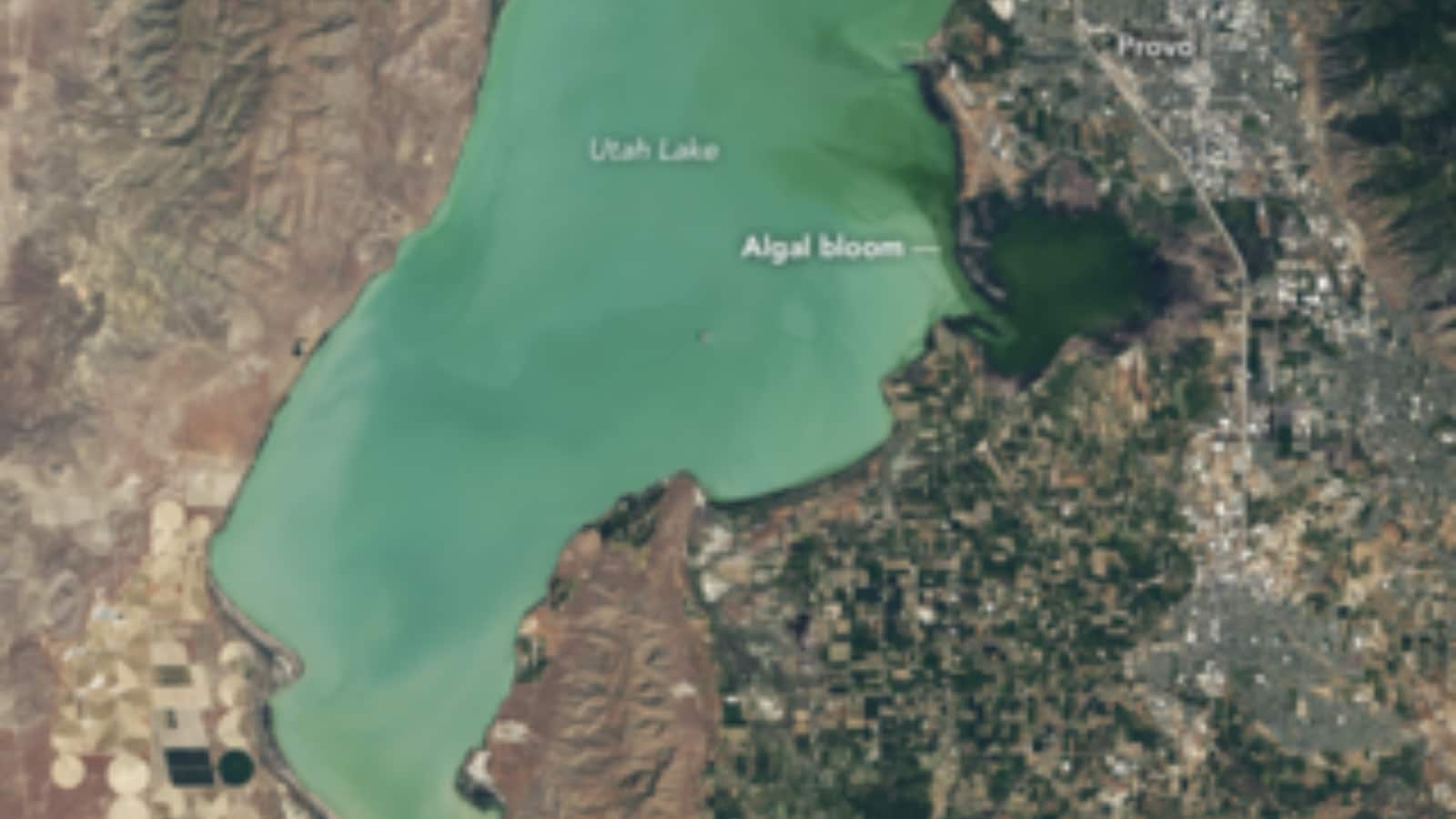 Spot Algal Booms And Win Rs 9 Lakh Prize in NASA’s Contest