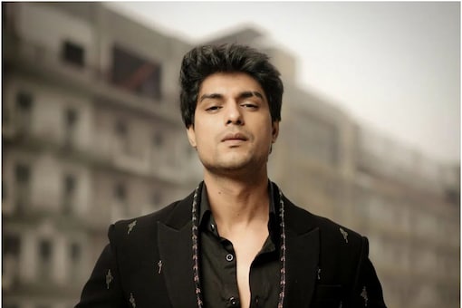 Ankit Gupta rose to fame with his superhit TV show Udariyaan where he played the role of Fateh Singh Virk on Colors.
