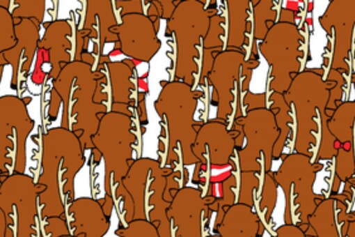Optical Illusion: Find the Bear Hidden in This Brain Teaser Puzzle in Under a Minute Optical Illusion: Find the Bear Hidden in This Brain Teaser Puzzle in Under a Minute