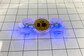 Researchers Create First-Of-Its-Kind Class Of Remote Controlled Hybrid ‘eBiobots’