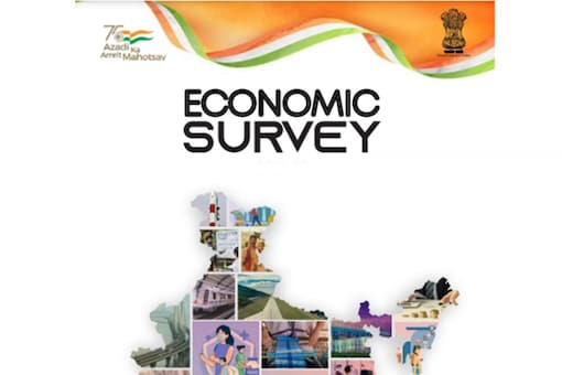 Economic Survey 2021-22 (Representative image)
