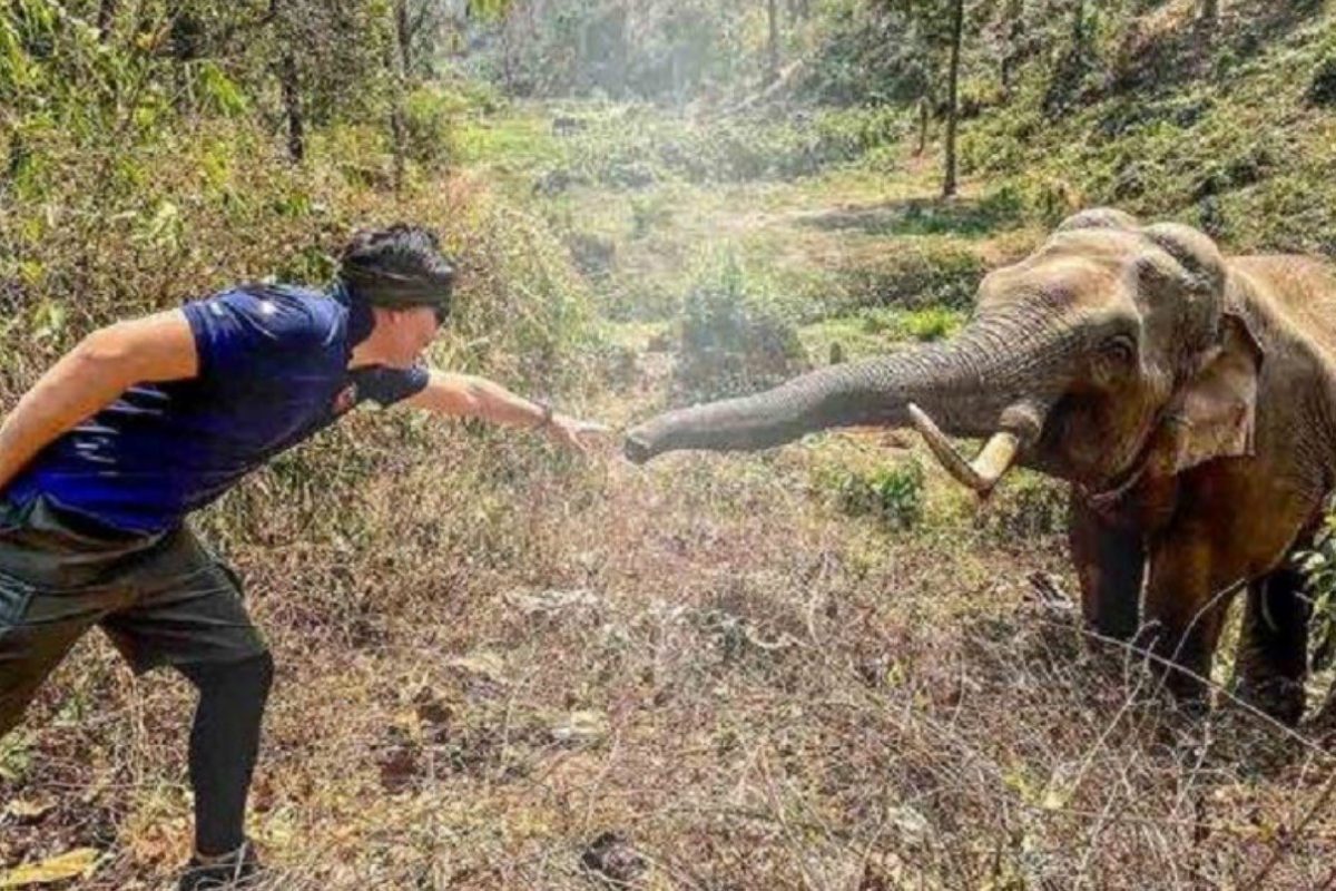 This Photo of Elephant Recognising Vet Who Treated Him a Decade Ago is All Heart