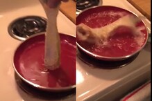 Wait, What? Fish Comes to Life After Being Put in Hot Oil, Video Goes Viral