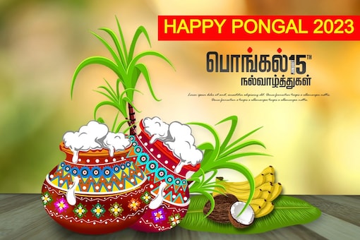Happy Pongal 2023: Wishes, Images, Greetings, Cards, Quotes Messages, Photos, SMSs WhatsApp and Facebook Status to share in English and Tamil. (Image: Shutterstock)   