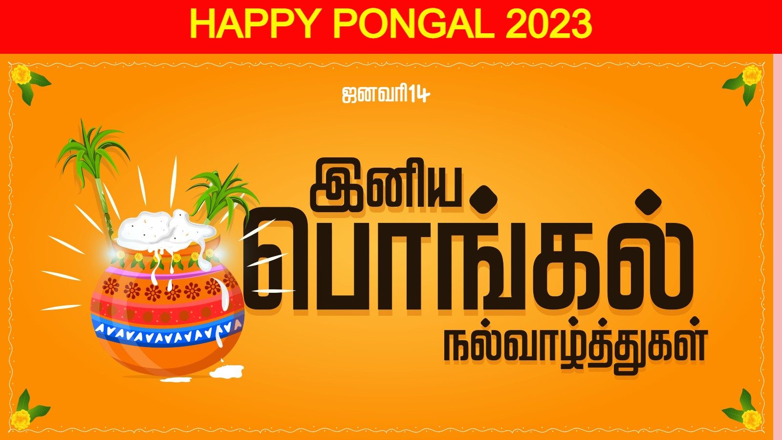 When is Pongal 2023? Date, History, Significance, Legends and ...
