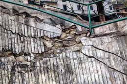 Joshimath Sinking: U'khand CM Orders Evacuation from Danger Zones As Temple Collapses; NDRF Deployed