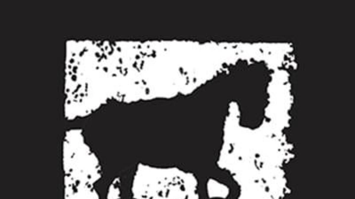 Mumbai’s Kala Ghoda Festival Starts From February 2! Here’s All You