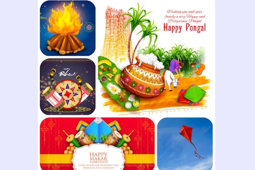 Lohri, Makar Sankranti, Pongal, Uttarayan and Bihu are festivals that represent different cultures but unite under one country – India. (Representative Images: Shutterstock)
