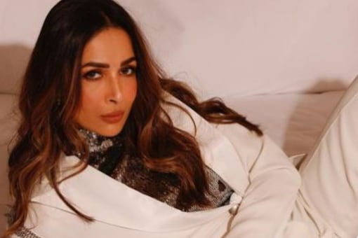 Malaika Arora is the ultimate boss lady in her latest Instagram pics 