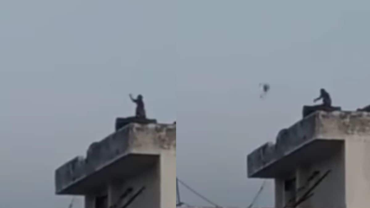 Watch: Ever Seen a Monkey Flying a Kite? Well, We Have It Here