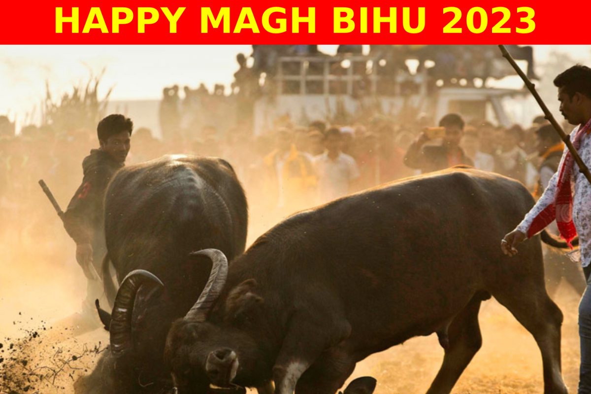 Happy Magh Bihu 2023: Bhogali Bihu Wishes, Photos, Status, Quotes ...