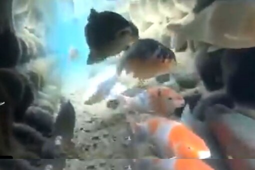 The video reveals a man recording a drainage system in Japan. 