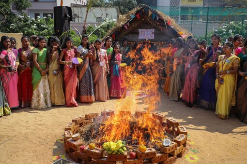 Students celebrate Pongal at a college in Tamil Nadu (PTI Photo)