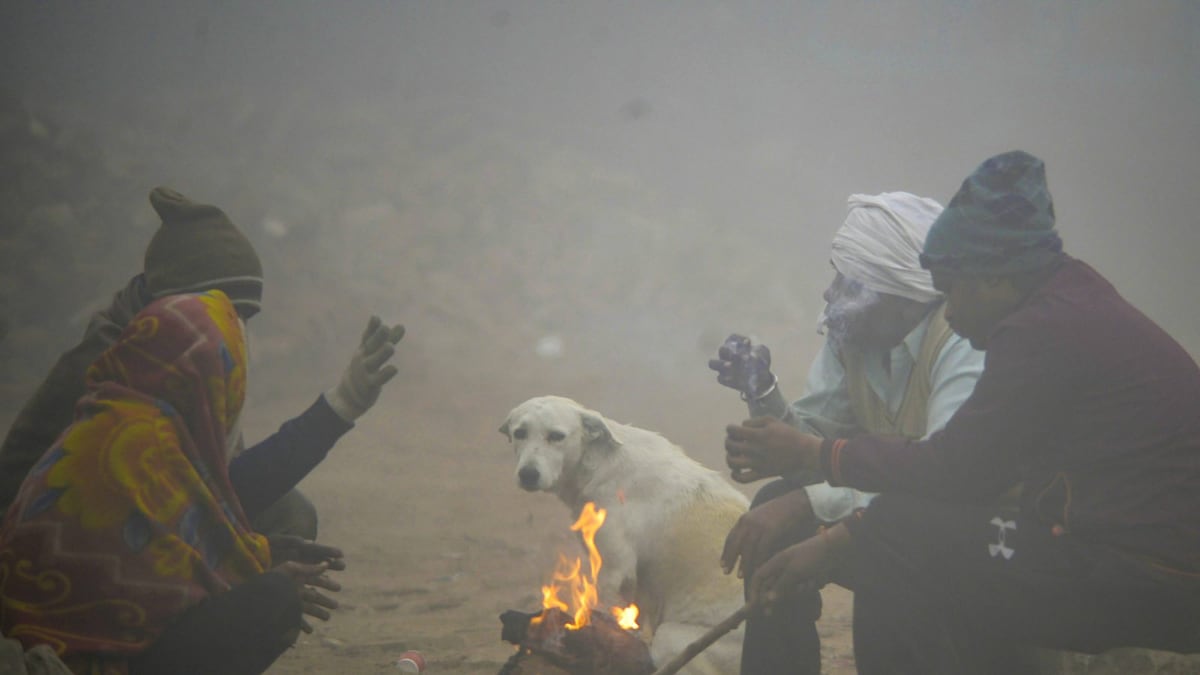 Season's Lowest Temp in Delhi, Below Zero in Parts of Rajasthan; Severe Cold Wave Alert in North India