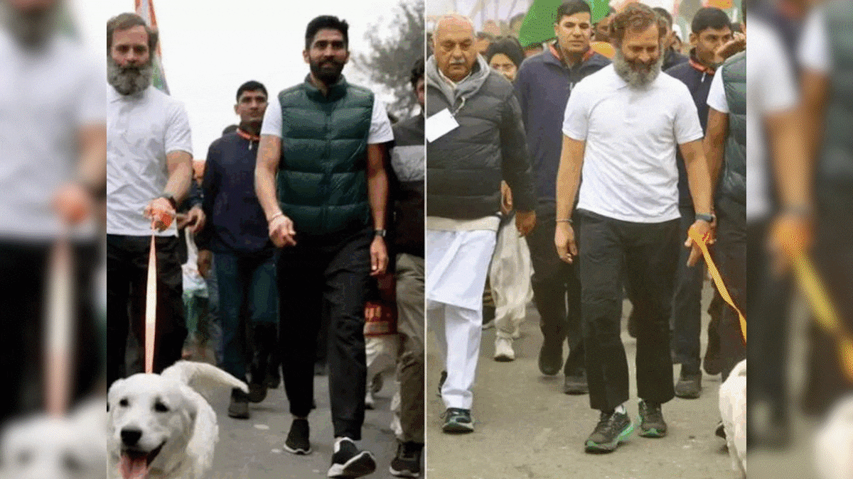 Before 2024 Polls, Rahul Gandhi's 'The Family Man' Features at Bharat