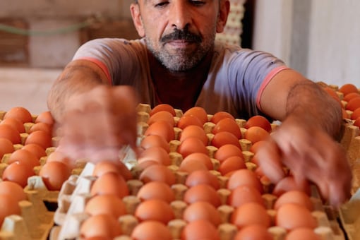 ҹѴ¡ Fresh Eggs Farm 㹡ا Ի (Ҿ: Reuters)