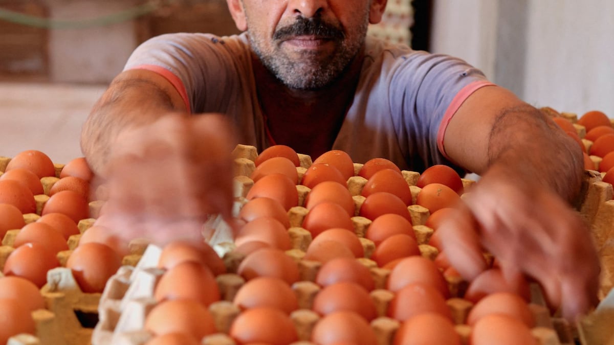 ‘Eggs Are Luxury Items, Avoid Buying Rice in Bulk’: Egypt Heads towards a Financial Crisis