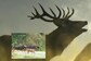 Sambar Deer or Gaur? Who Wins the 'Bodybuilding Competition' In This Viral Image?