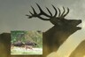 Sambar Deer or Gaur? Who Wins the 'Bodybuilding Competition' In This Viral Image?