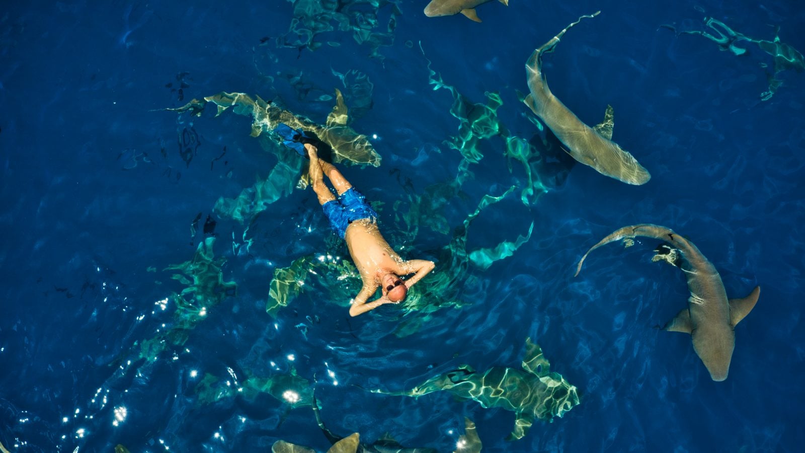 Fun Activities To Do In Maldives