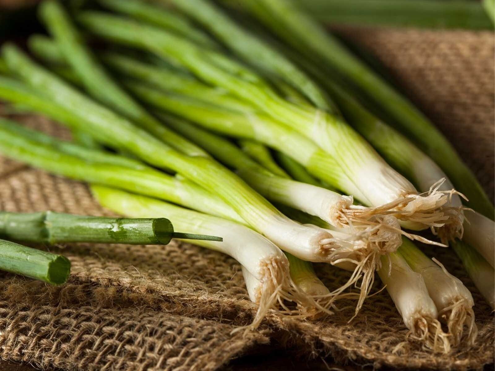 Spring Onions Images