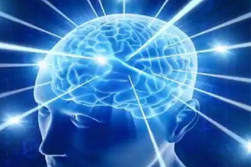 Neuroplasticity is the ability of neural networks of the brain to function better.