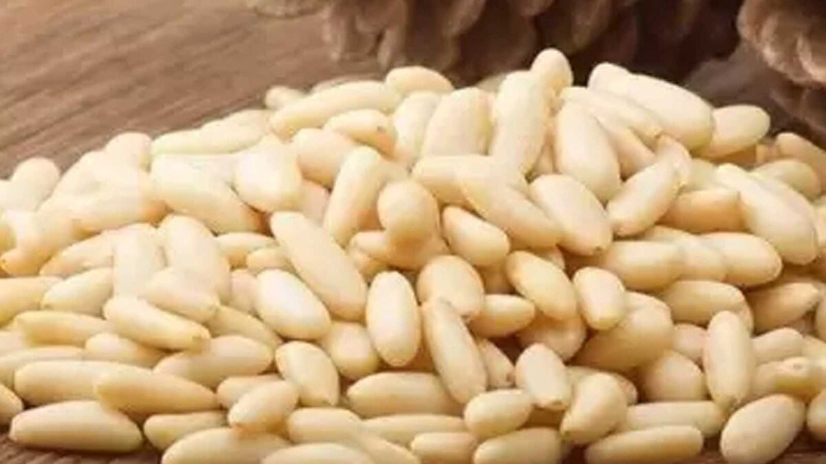 Pine Nut Benefits Consume This Seed To Keep Diabetes And Heart