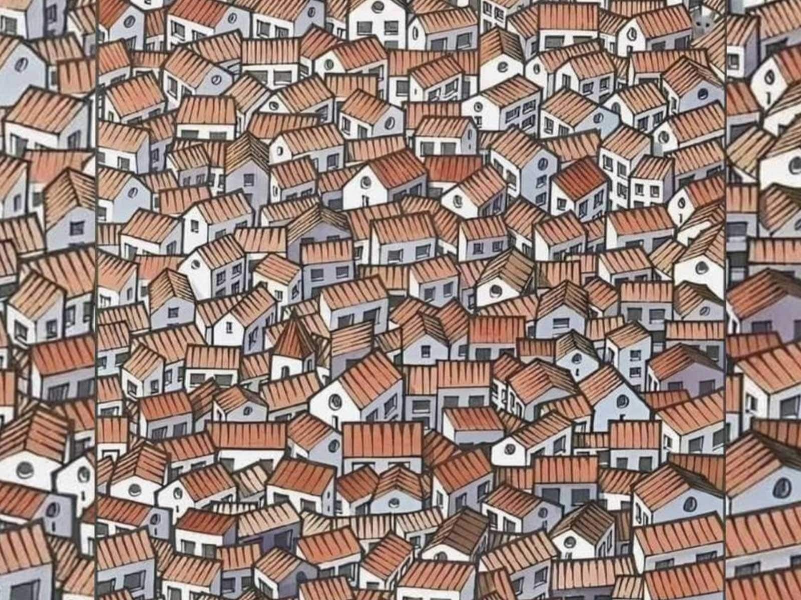Optical Illusion: Can You Spot the Cat in This Picture of Crammed Houses? -  News18