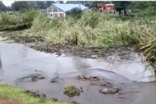 Watch: This Sinkhole Sucking All Of Swamp In Is Something We Don't See Often