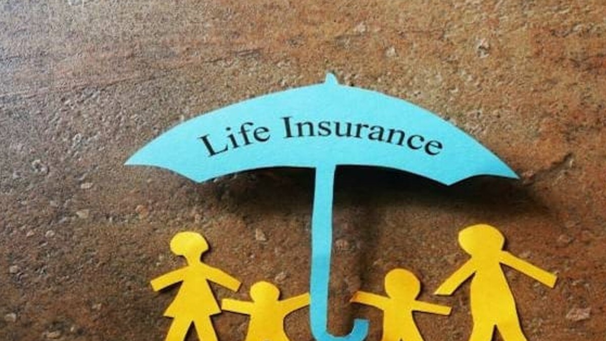 Investment And Insurance: What Is Unit-linked Insurance Plan That Offers Dual Benefits?