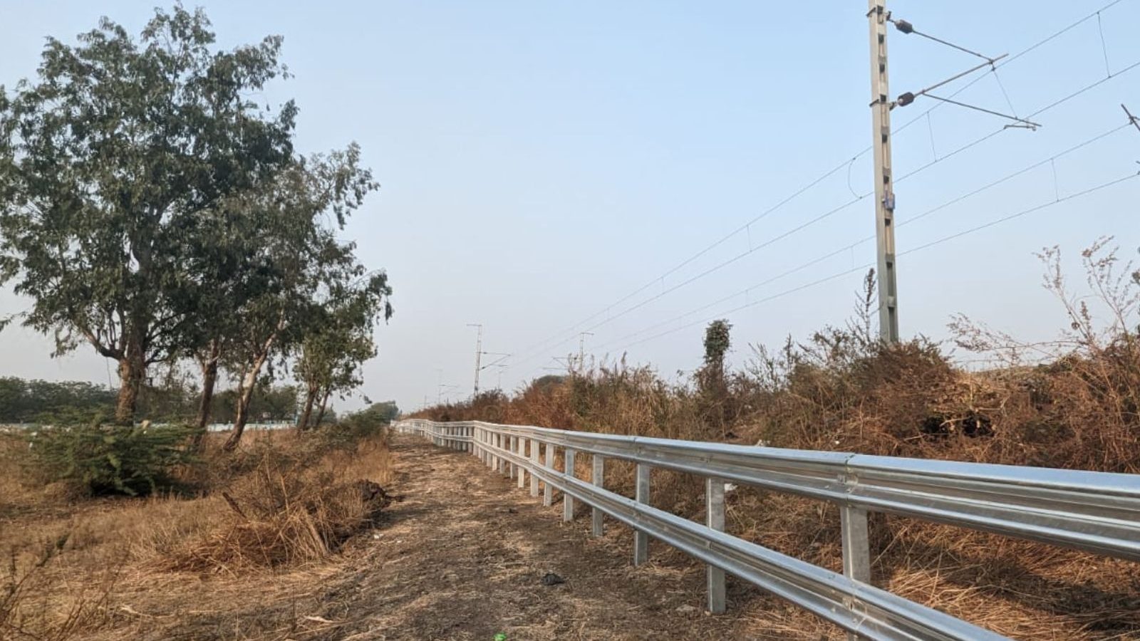 META: Cattle Run-over Incidents: Mumbai-Ahmedabad Route to Get Metal Fencing by May