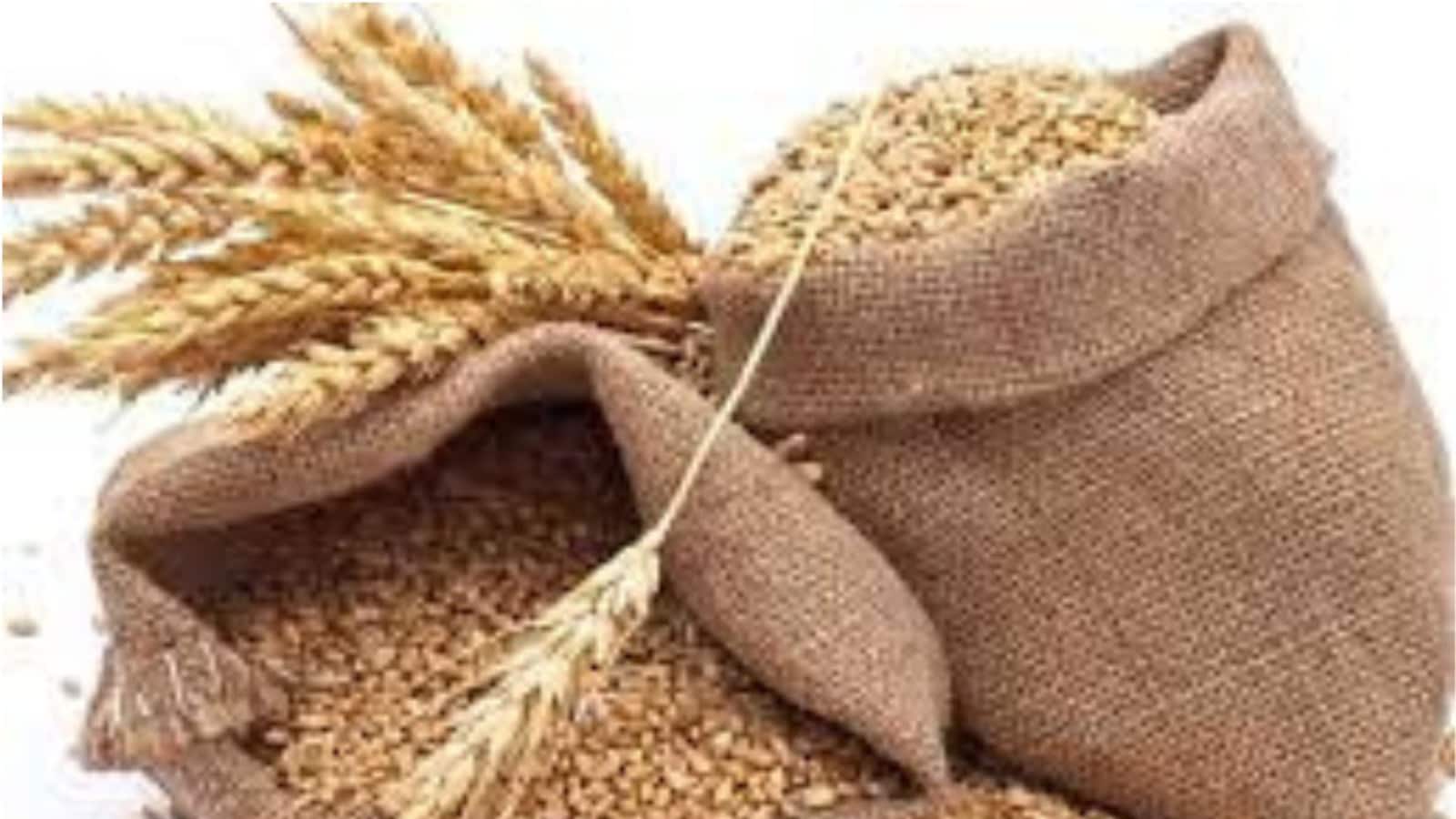 Atta Price To Fall: Govt Lowers Wheat Reserve Price