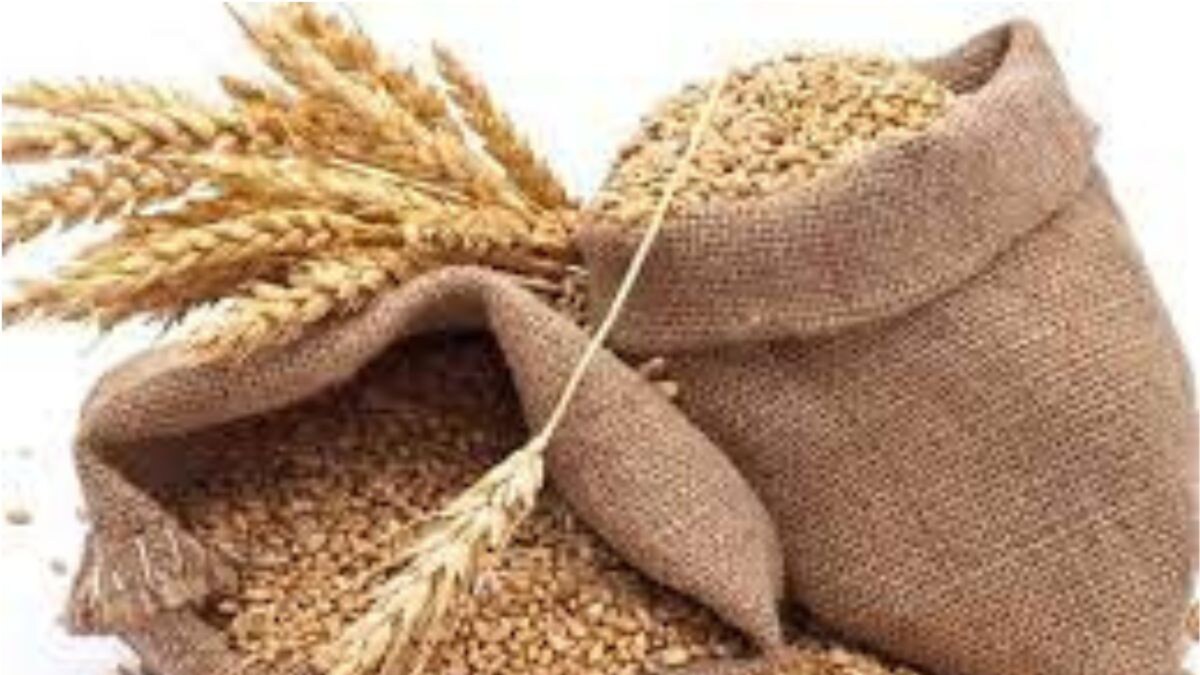 FCI to Offer 11.72 Lakh Tonnes Wheat Stock to Bulk Consumers in 3rd E-auction on Feb 22