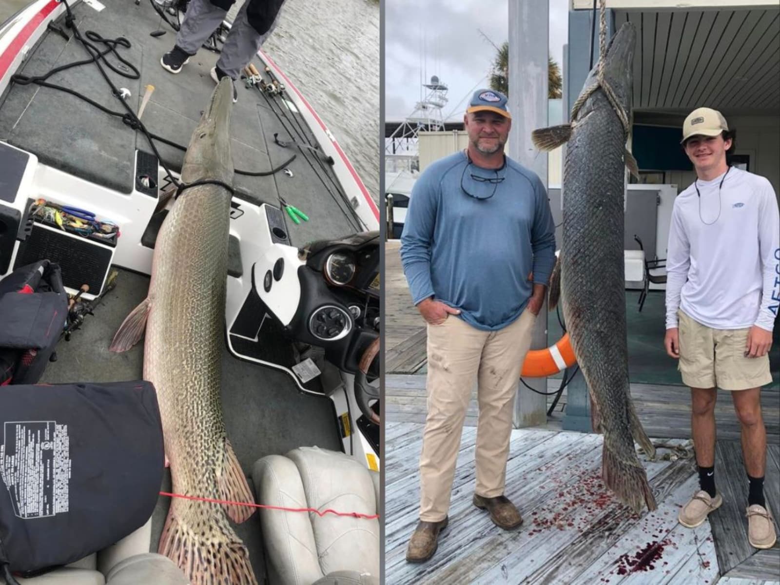 US Father-Son Duo Catches Giant Alligator, Gar Breaking Fishing Record -  News18