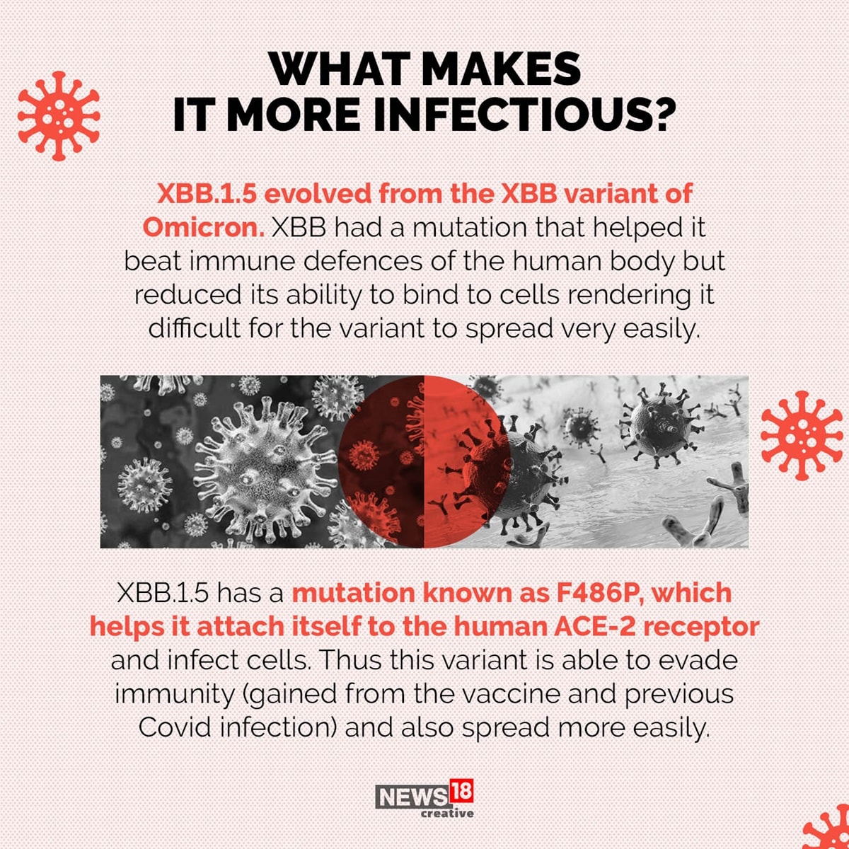 What Is The New XBB.1.5 Covid Variant? How Fast Is It Spreading ...