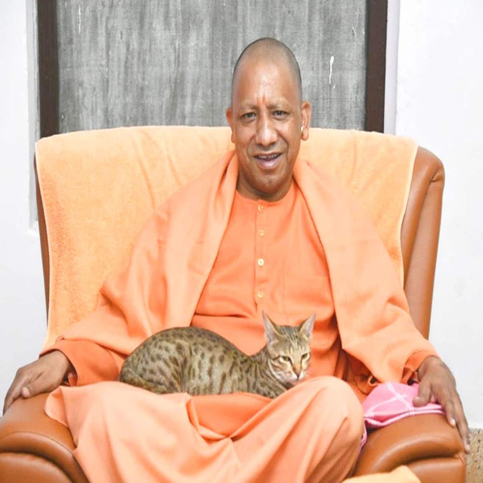 UP CM Yogi Adityanath Enjoys Cat's Company at Gorakhnath Temple Office, Pic Goes  Viral