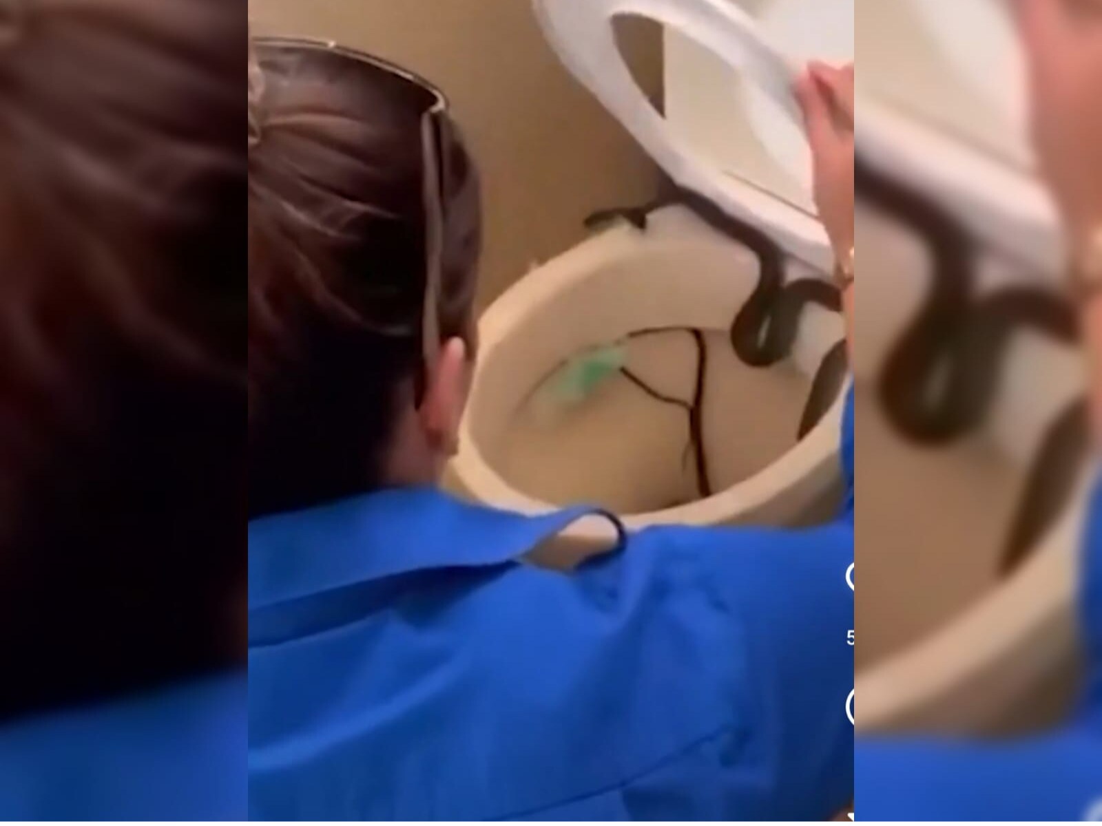 Did an Idaho Couple Really Find a Scary Snake in Their Toilet?