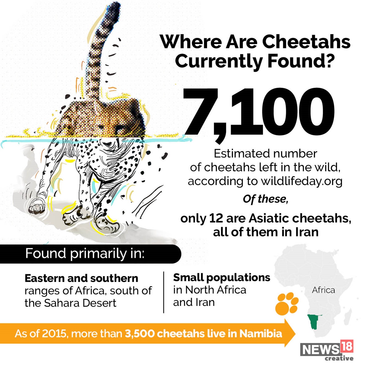 How Did Cheetah Become Extinct in India & How Has It Returned Home | In