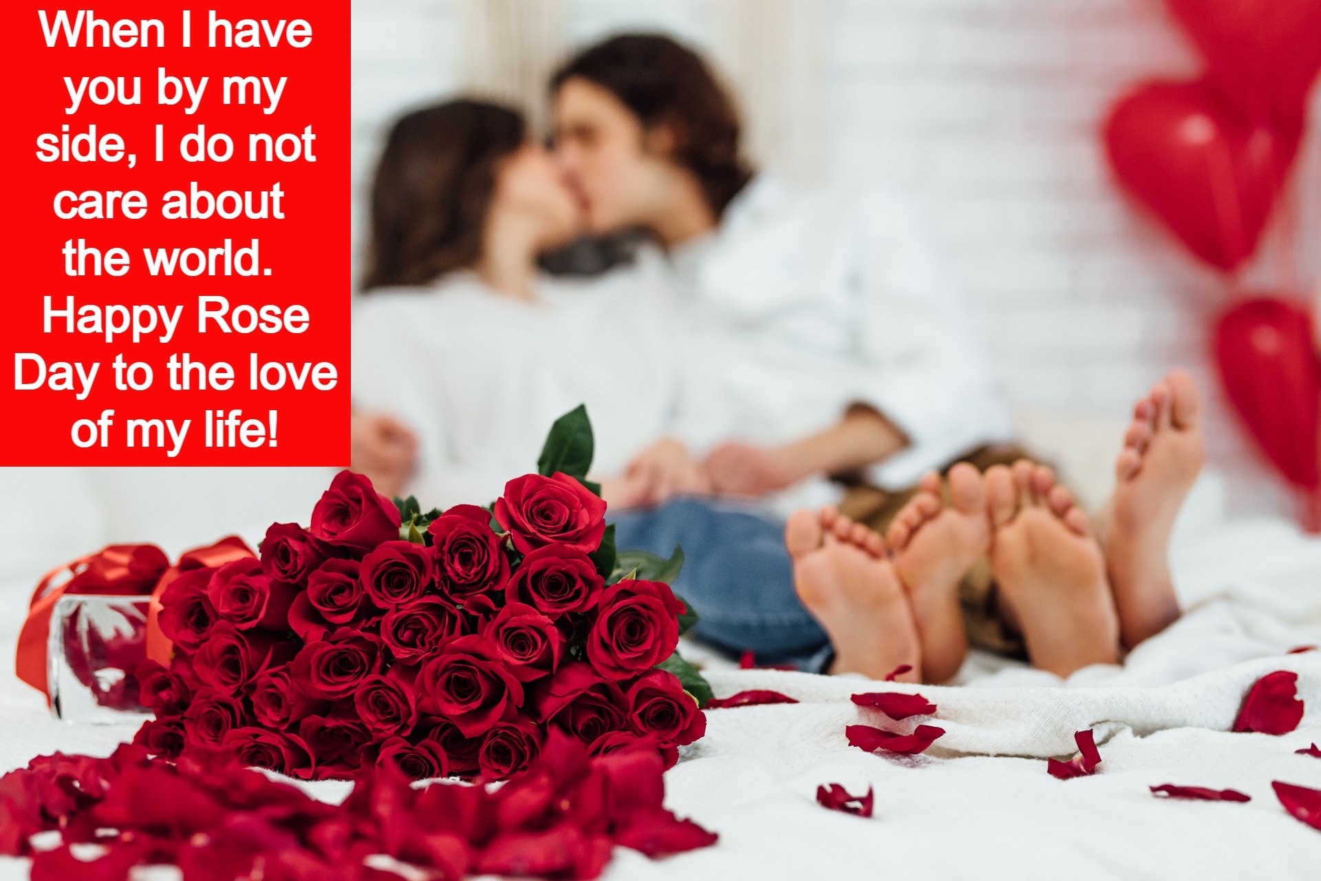 Happy Rose Day Shayari for Girlfriend and Wife on Wallpapers
