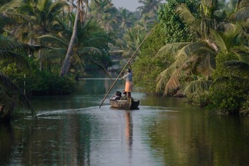 Kerala witnessed the most number of domestic tourists after its formation.  (Representative image: Kerala Tourism/Twitter)