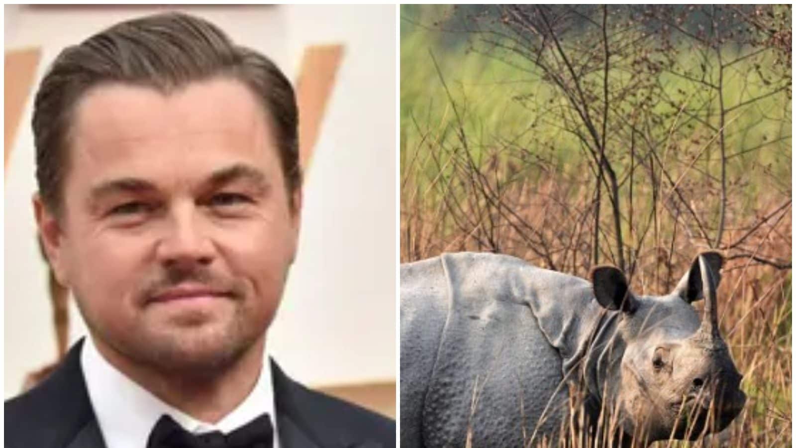 Leonardo DiCaprio Praises Assam Govt’s Efforts to End Poaching of One-Horned Rhinoceros