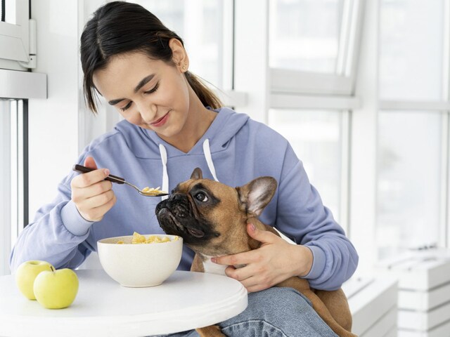 Debunking Common Misconceptions About Packaged Pet Food - News18