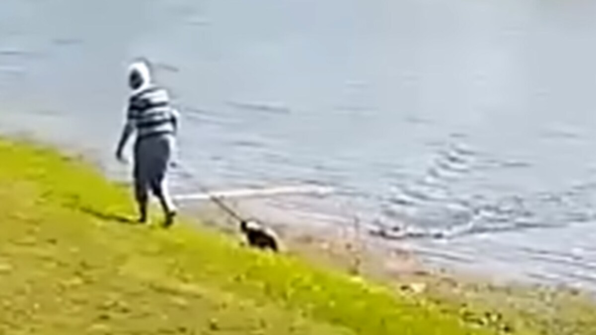 85-Year-Old Woman, Walking Her Dog, Dragged Into Lake And Killed By Alligator