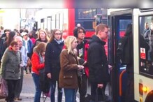 Optical Illusion: Can You Find a Dog In This Image Within 10 Seconds?