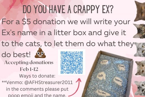 This Animal Shelter Lets You Name Cat Litter Boxes After Your Ex This Animal Shelter Lets You Name Cat Litter Boxes After Your Ex