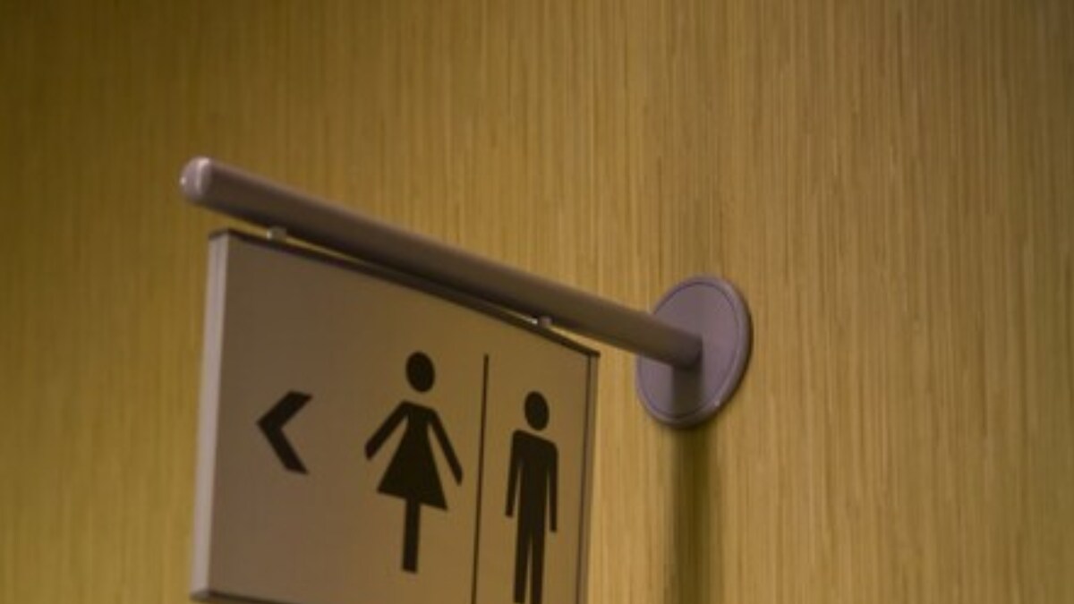 Why Do Public Toilets Have Short Doors? TikTok User Answers Million